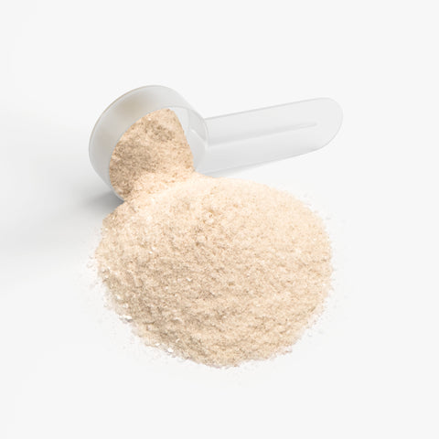 Hydration Powder (Lemonade) alternate